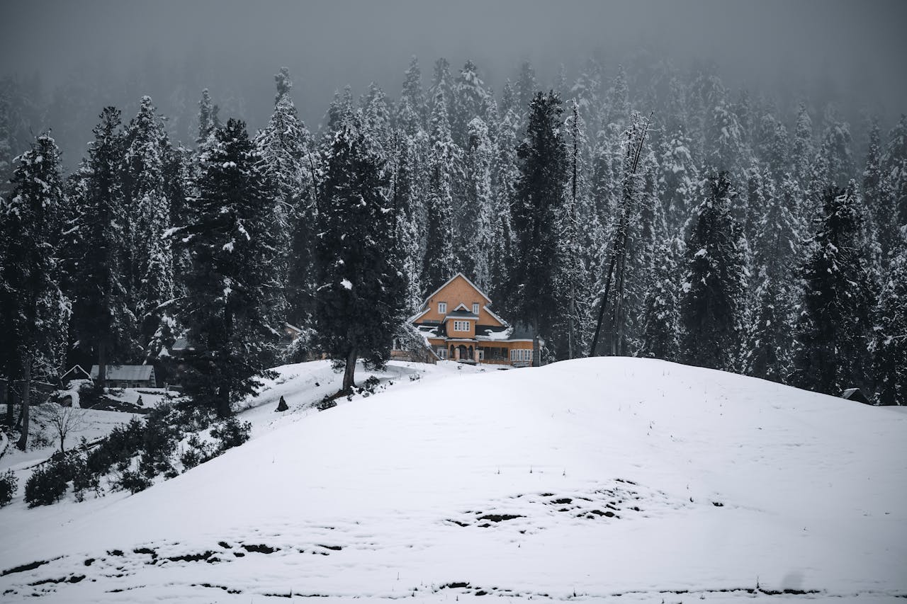 Serene winter scene of a cabin surrounded by snow-covered forest in Gulmarg.
